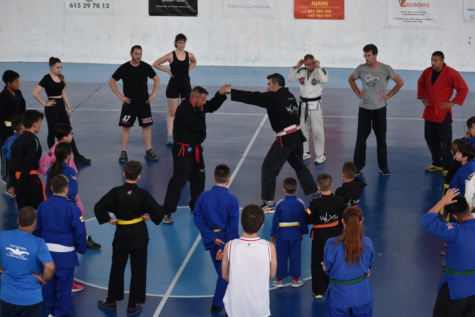Seminario de grupo KBDP Combat Ju-Jutsu Wu Xing Madrid